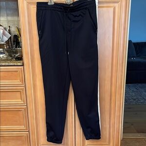Pac Sun Navy Jogger Pants